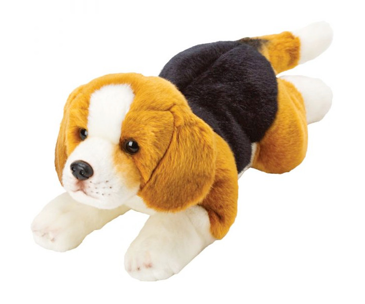 Pies Beagle 38 cm