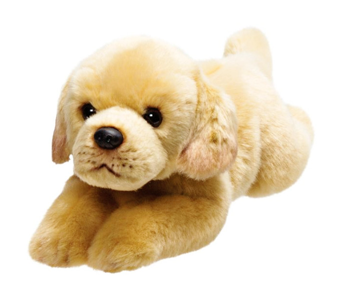 Pies Labrador biszkoptowy 30 cm
