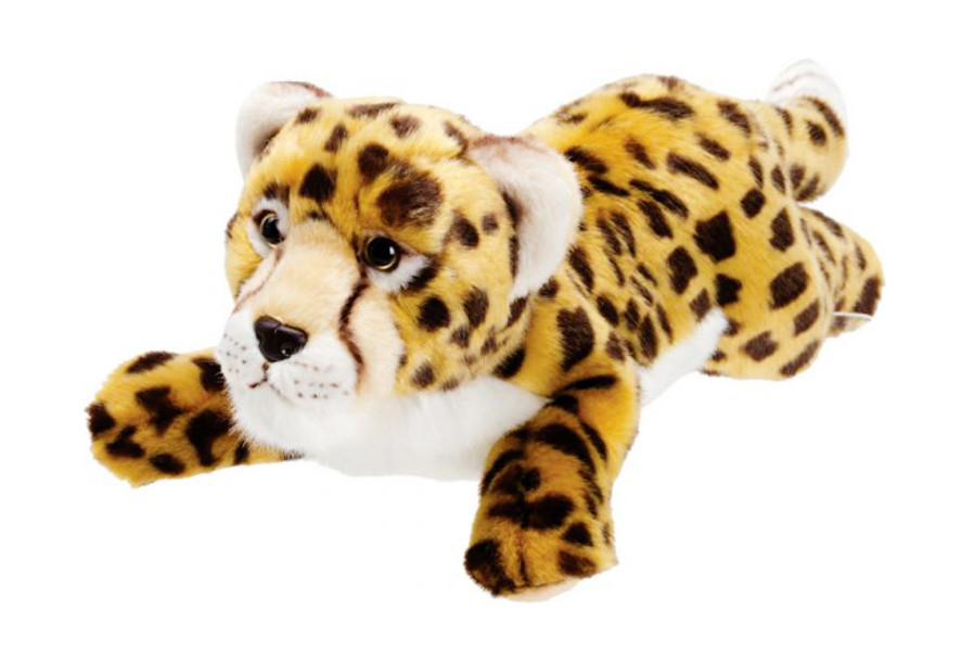 Gepard