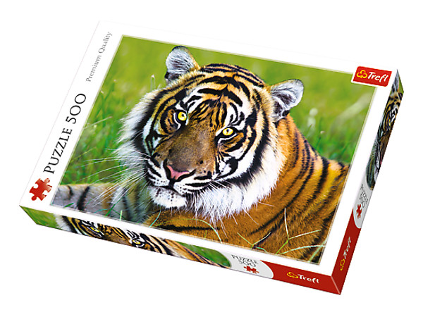 Puzzle 500 Tygrys