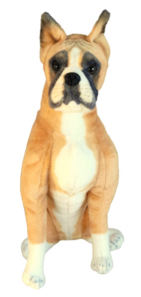 Bokser siedzący 64 cm