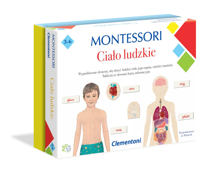 Montessori Ciało ludzkie