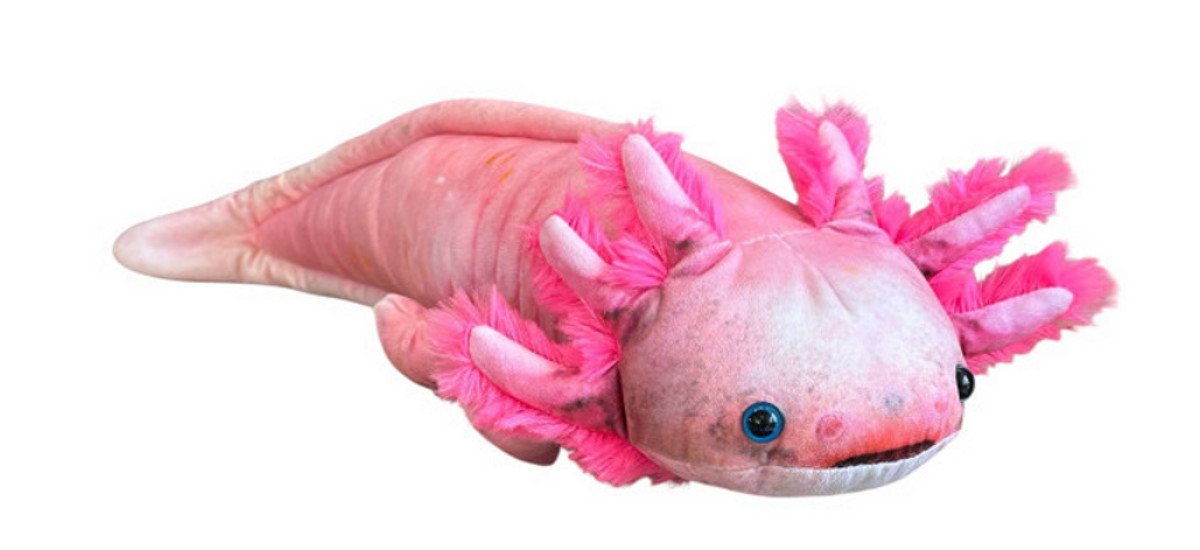 Axolotl 38cm