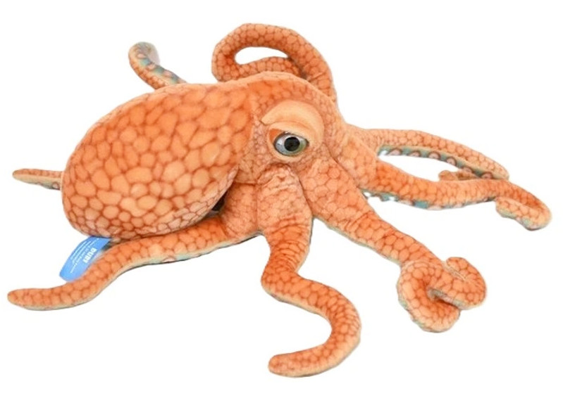 Ośmiornica 47cm