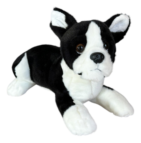 Pies Boston terrier leżący 28cm