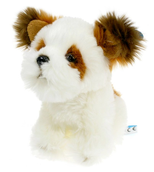 Pies Shih tzu 18cm