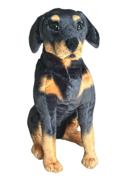 Pier Rotweiller 65 cm