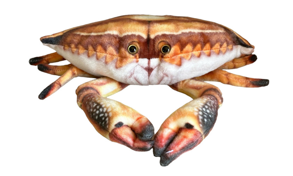 Krab 31cm