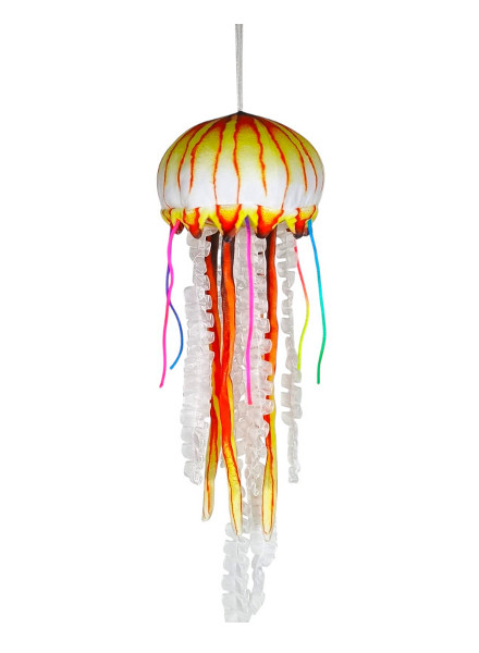 Meduza żółta