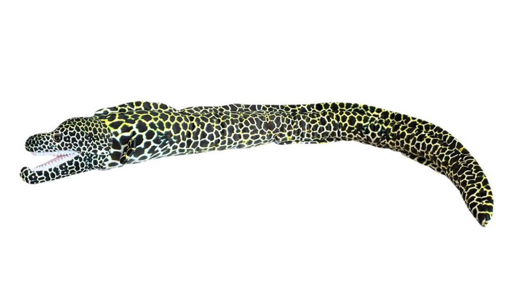 Murena ciemna 110cm