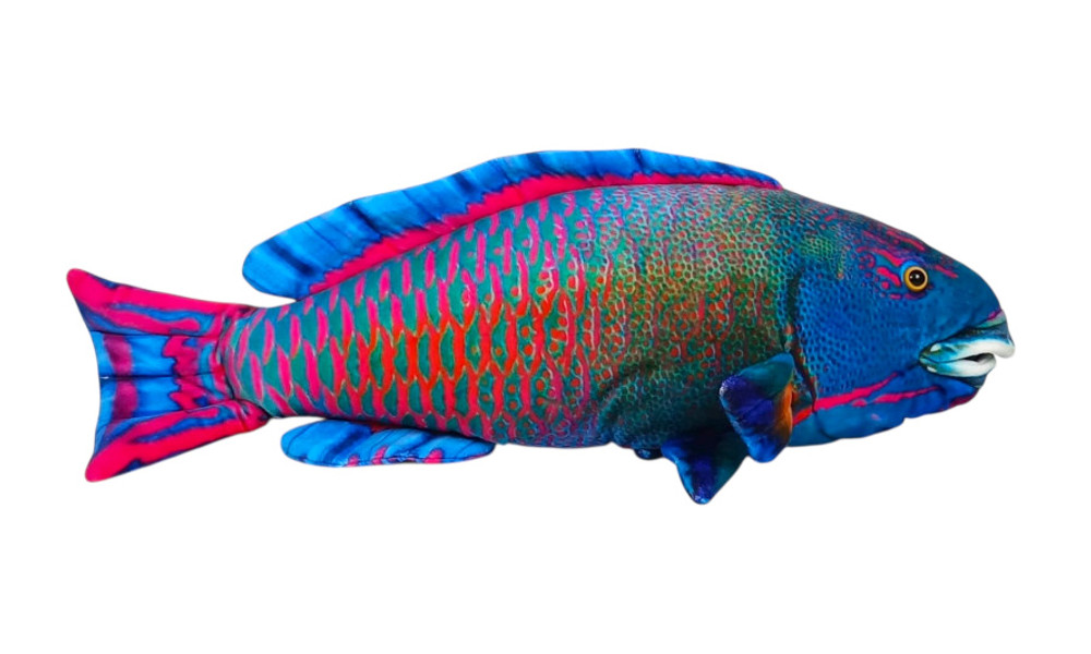 Ryba morska niebieska 50cm