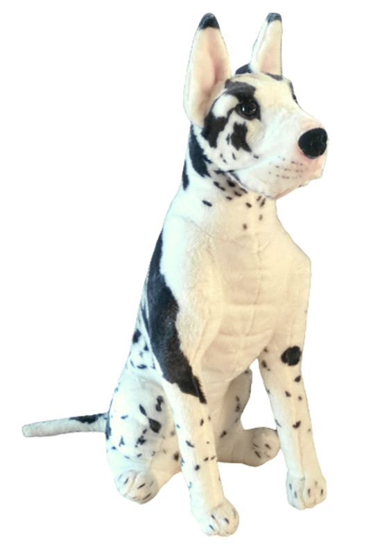 Pies dog niemiecki 65 cm