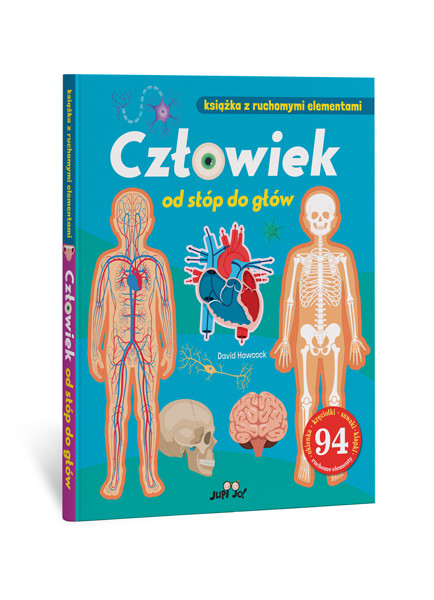 Ksiązka z ruchomymi elementami Człowiek od stóp do głów