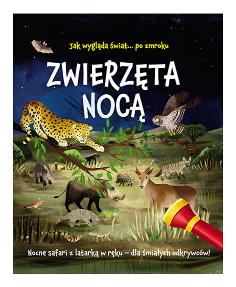 Zwierzęta nocą