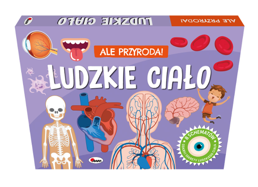 Ale Przyroda Ludzkie ciało
