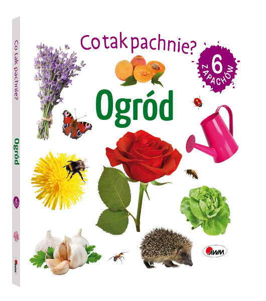 Co tak pachnie? Ogród