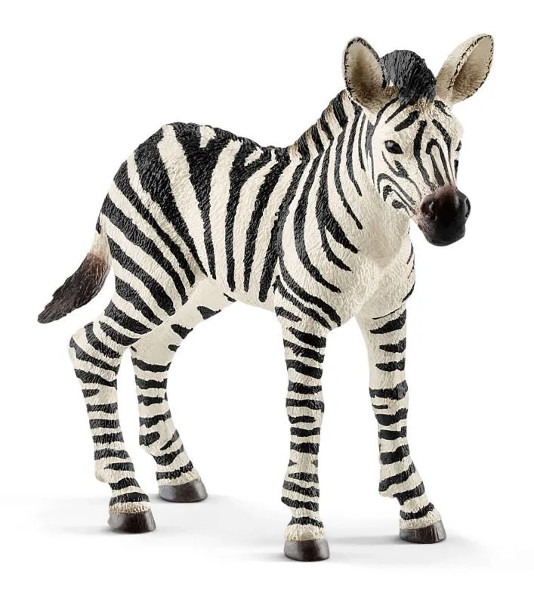 Schleich Zebra