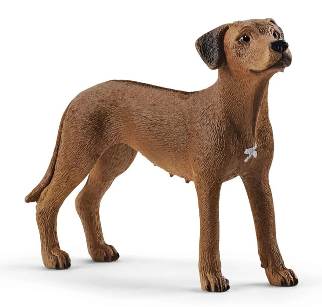Schleich Pies rasy Rhodesian Ridgeback