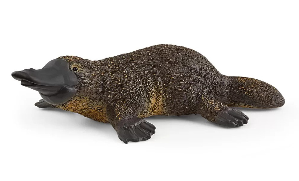 Schleich Dziobak