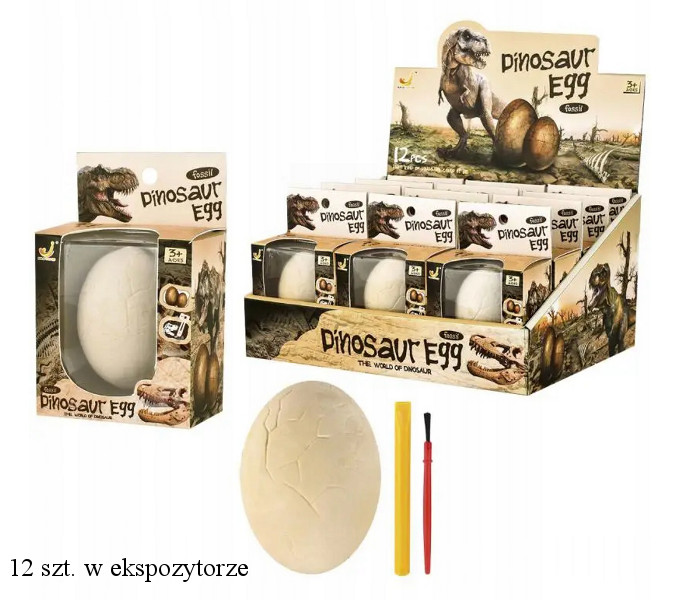 Wykopaliska Jajo dinozaura