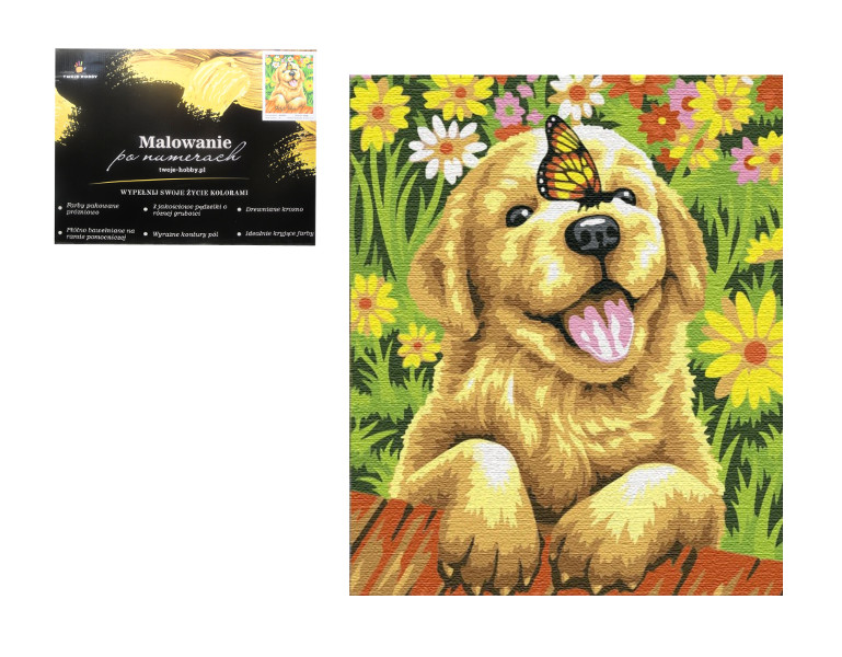 Malowanie po numerach 40x50 Wesoły piesek