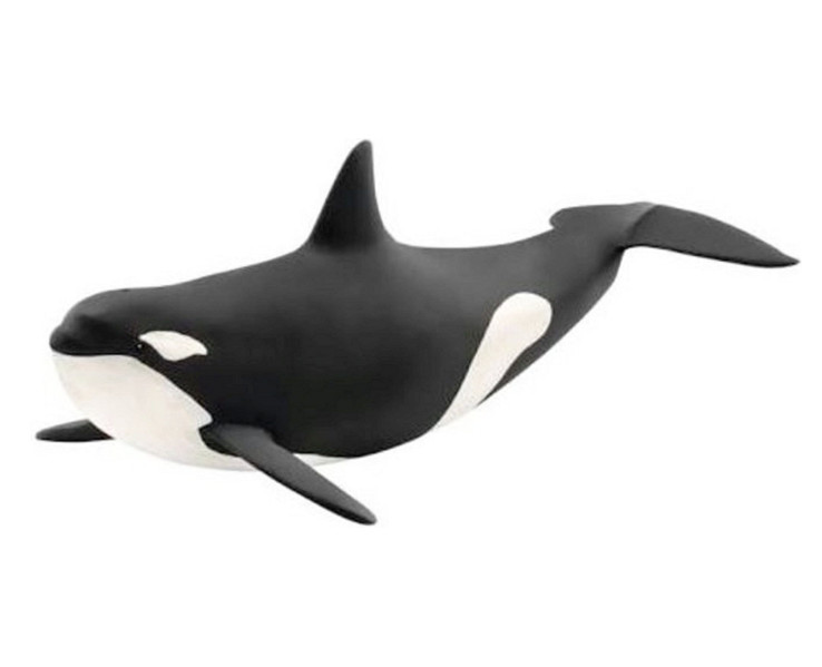 Schleich Orka oceaniczna