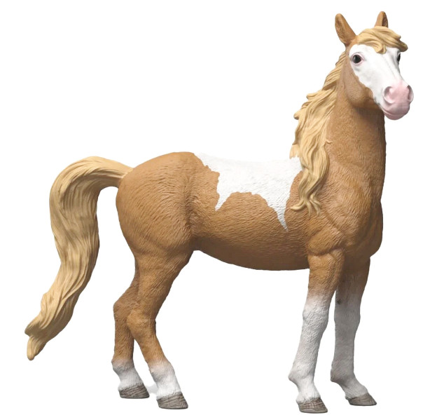 Klacz rasy mustang