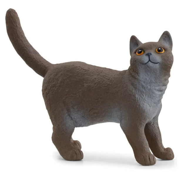 Schleich Kot brytyjski krótkowłosy
