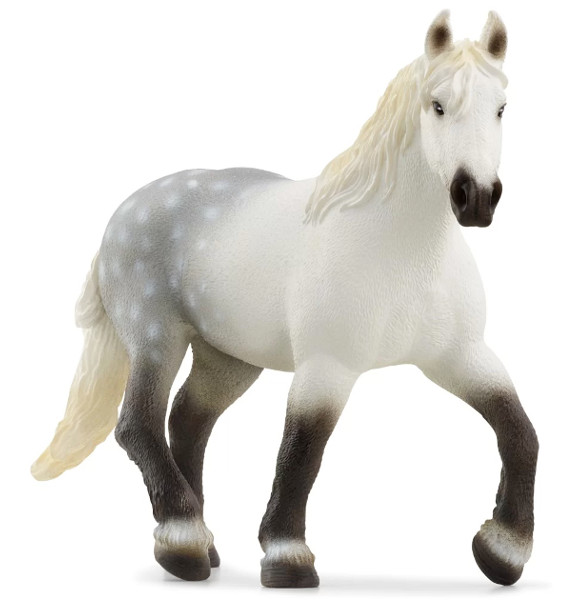 Schleich Koń rasa perszeron