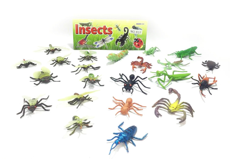 Zwierzęta insekty