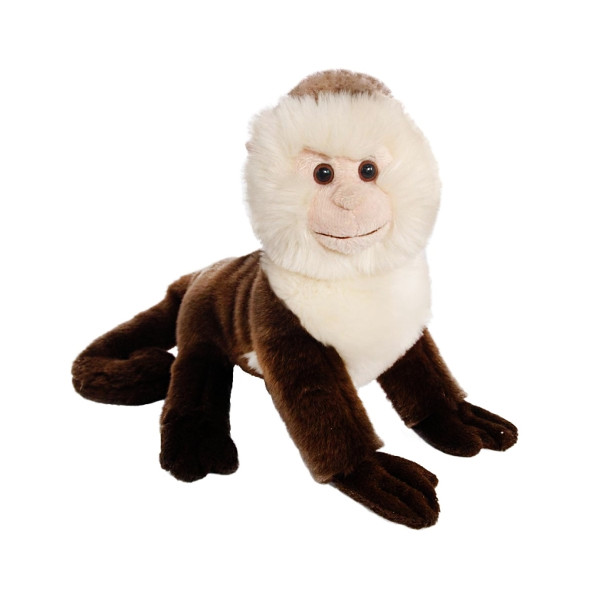 Małpka kapucynka
