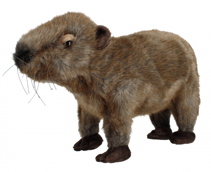 Kapibara 33cm