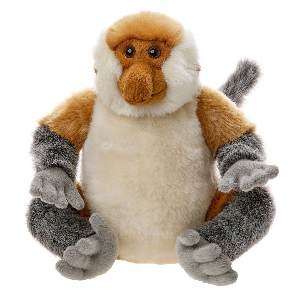 Nosacz sundajski 24cm