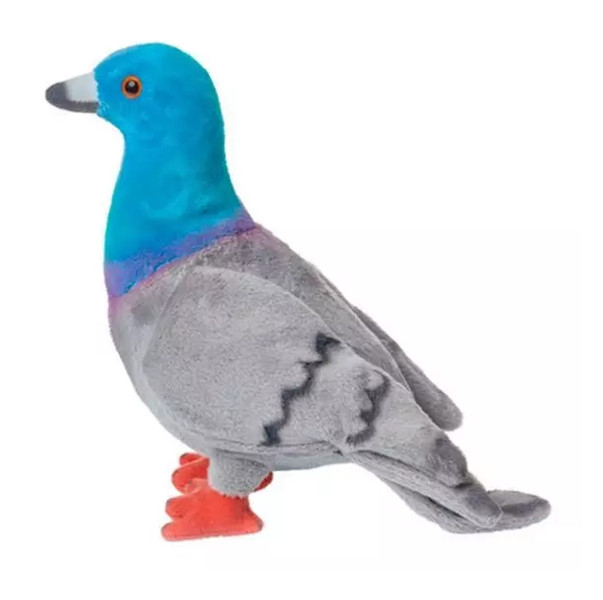 Gołąb miejski 20cm