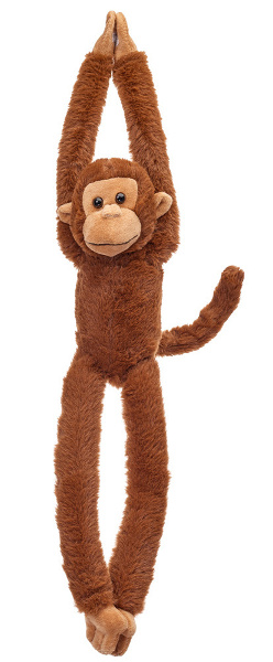 Małpka wisząca brązowa