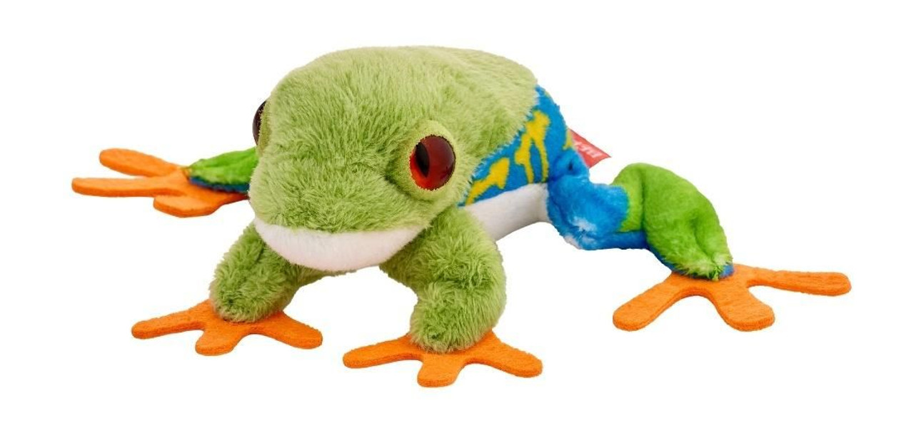 Żaba drzewołaz niebiesko-żółty 10 cm