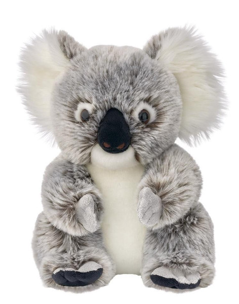 Koala australijski 25cm