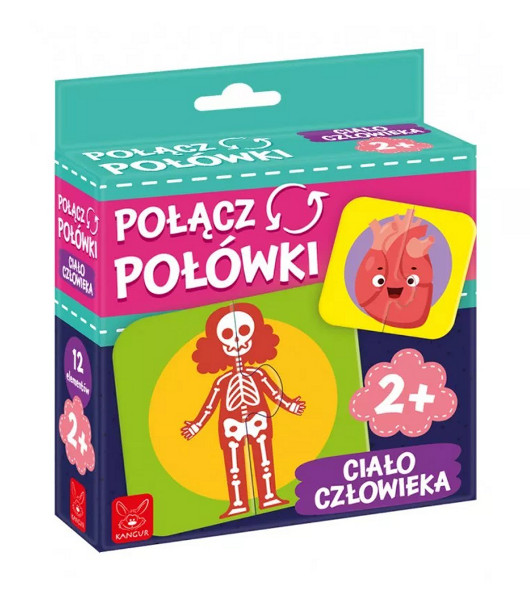 Połącz Połówki Ciało Człowieka