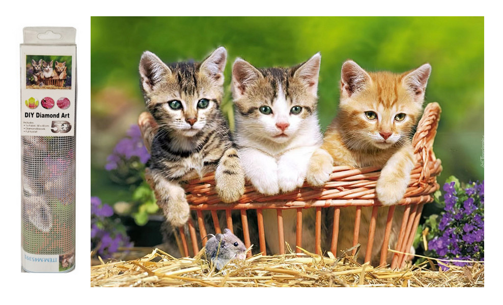 Mozaika diamentowa kotki w koszu M45391