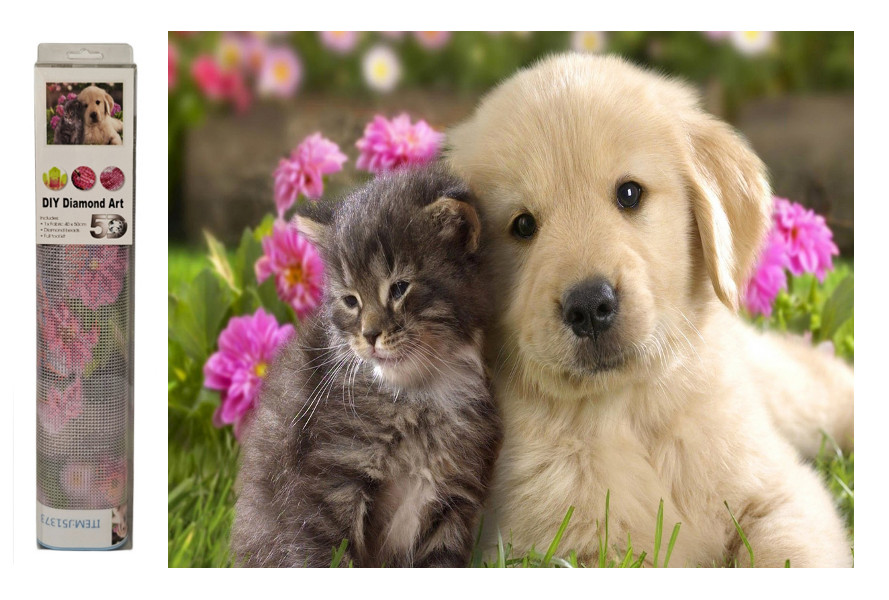 Mozaika diamentowa pies z kotem M50196