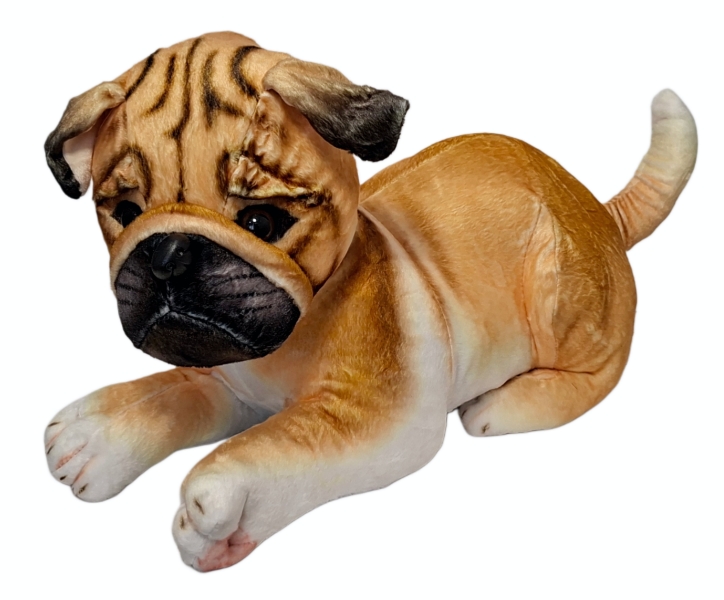 Pies mops