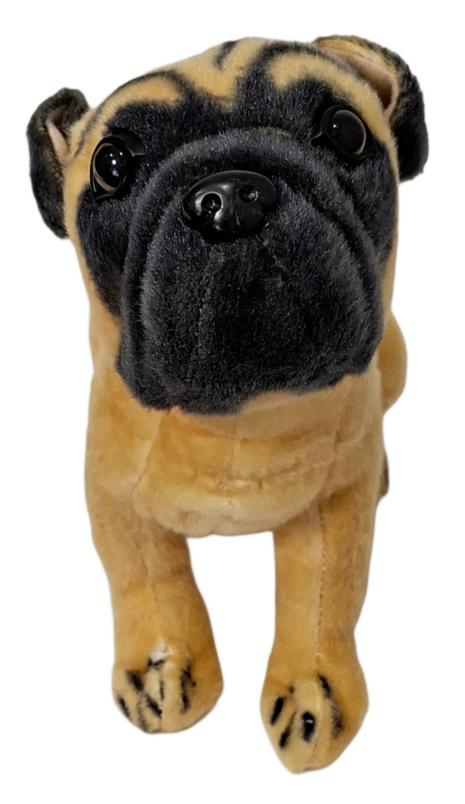 Pies mops