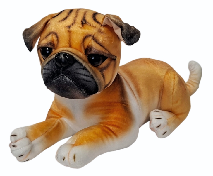 Pies mops