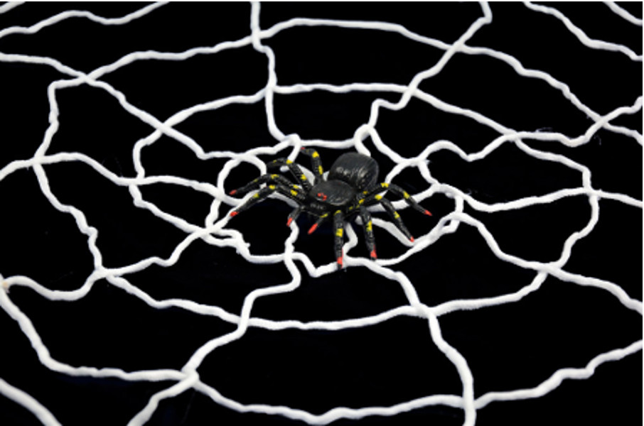 Pajęcza sieć XL z pająkiem